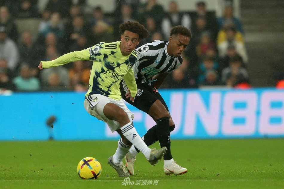 定的领导力 定的领导力